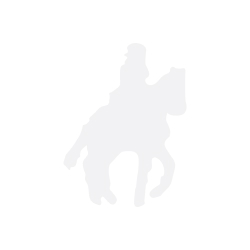 Current image